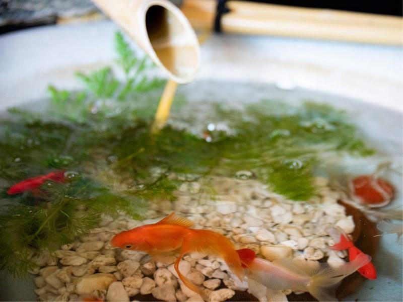 Kappo Ryokan Hiromitei Hotel ฮานามากิ ภายนอก รูปภาพ